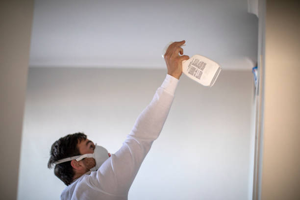 Best Mold Inspection  in Burlington, ND