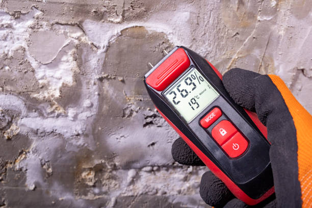  Burlington, ND Mold Removal Pros