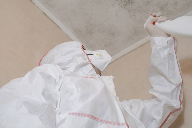 Best Professional Mold Removal  in Burlington, ND