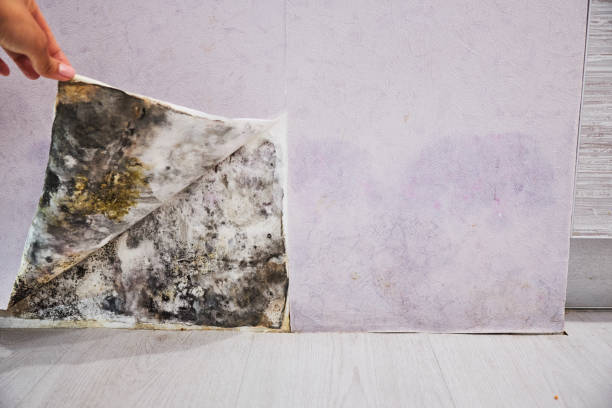 Water Damage Restoration in Burlington, ND